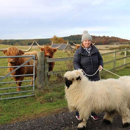 Glampods Glamping Pod - meet Highland Cows&Sheep Elgin Villa Buitenkant foto