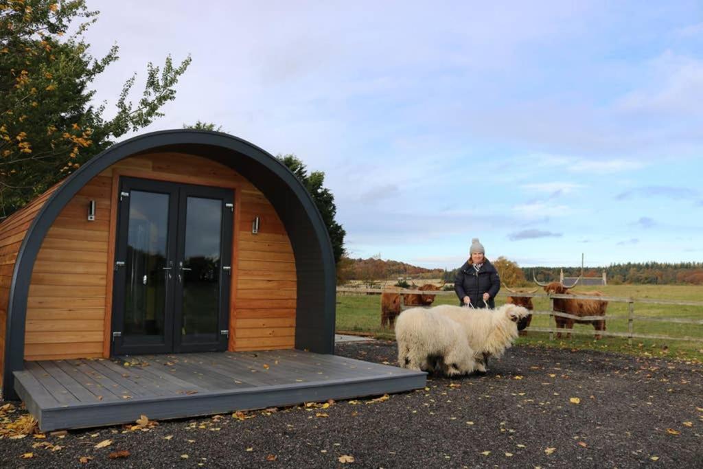 Glampods Glamping Pod - meet Highland Cows&Sheep Elgin Villa Buitenkant foto